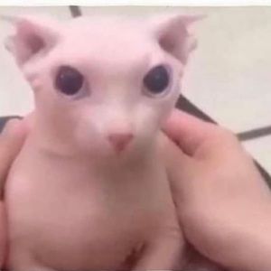 Meet your Posher, Johnny